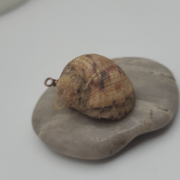 Pirates treasure authentic conch seashell shell‎ necklace pendant